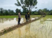 Bhabinkamtibmas Polsek Sungai Raya Ajak Warga Tingkatkan Ketahanan Pangan