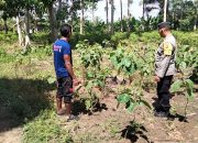 Bhabinkamtibmas Polsek Sungai Raya Dukung Program Ketahanan Pangan di Desa Binaan