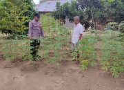 Bhabinkamtibmas Polsek Rantau Selamat Sambangi Petani di Desa Sarah Kayee