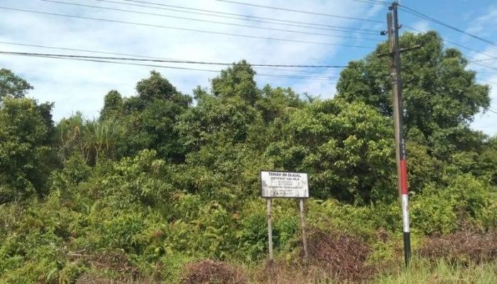 Jangan Terkejut! Begini Cara Warga Aceh Singkil Jual Beli Tanah, Hanya Hitung Lebar Depannya Saja