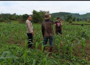 Bhabinkamtibmas Polsek Langsa Barat Ajak Warga Jaga Ketahanan Pangan dan Keamanan Pasca Pilkada