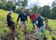 Polres Aceh Besar temukan ladang ganja di Lamteuba, tangkap terduga pemilik