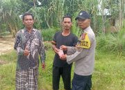 Bhabinkamtibmas Polsek Langsa Beri Dukungan Ketahanan Pangan Melalui Bantuan Bibit Jagung