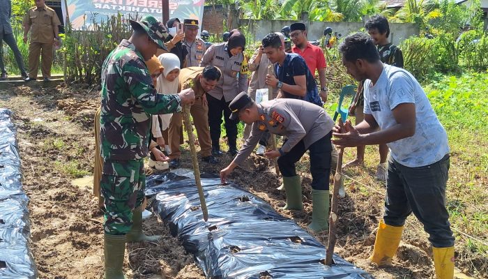 Polsek Langsa Dukung Swasembada Pangan dengan Launching Penanaman Jagung Serentak 1 Juta Hektar