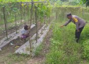 Bhabinkamtibmas Polsek Sungai Raya Dukung Ketahanan Pangan dengan Sambang ke Kebun Warga