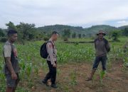 Bhabinkamtibmas Polsek Langsa Barat Ajak Warga Jaga Keamanan dan Ketertiban di Gampong Geudubang Aceh