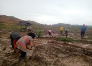 Bhabinkamtibmas Polsek Sungai Raya Lanjutkan Program Penanaman Jagung dan Beri Pesan Kamtibmas
