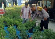 Bhabinkamtibmas Polsek Langsa Barat Dukung Ketahanan Pangan di Gampong Sungai Pauh