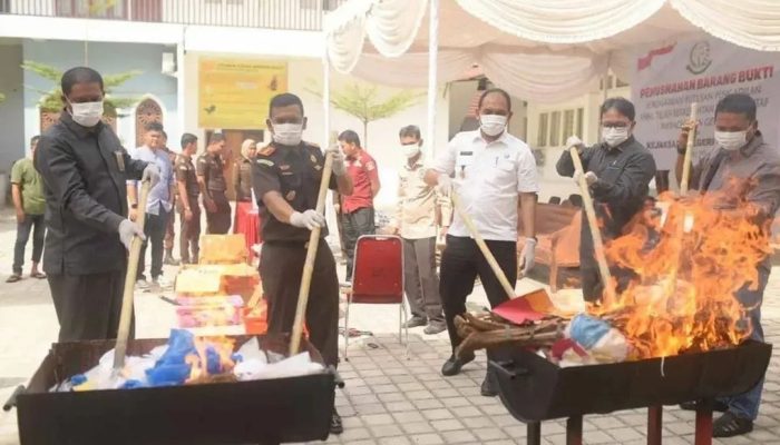 Kejari Bireuen Musnahkan 6,1 Kg Sabu dan 4,3 Kg Ganja, Bong hingga Senjata Tajam Ikut Dibakar