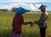 Bhabinkamtibmas Polsek Langsa Sambangi Warga, Pastikan Kamtibmas Tetap Aman