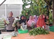 Bhabinkamtibmas Polsek Langsa Timur Perkuat Kamtibmas Melalui Pemberdayaan Pekebun