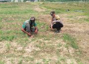 Bhabinkamtibmas Polsek Manyak Payed Pantau Program Pemanfaatan Lahan Produktif