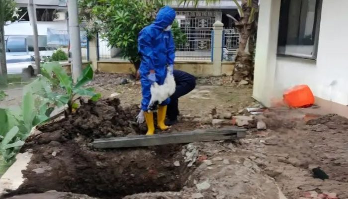 Bea Cukai Langsa Musnahkan Hewan Eksotis, Tanaman Hias, dan Rokok Ilegal