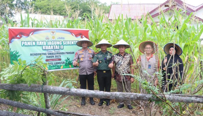 Panen Raya Jagung Serentak Digelar, Polres Langsa Dukung Ketahanan Pangan Nasional