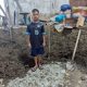 Tajul Anak Korban Banjir di Pijay Masuk Sekolah Tanpa Seragam