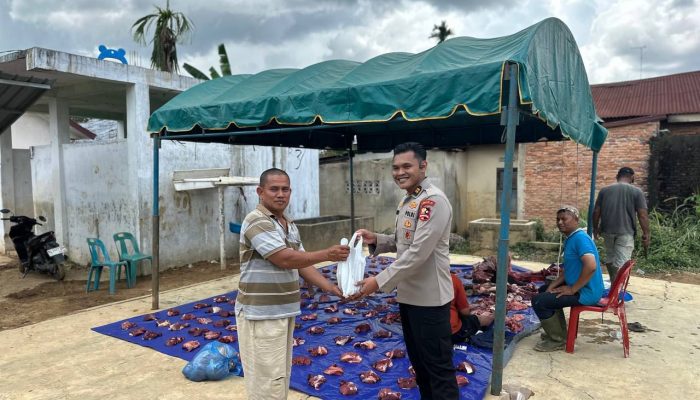 Mahasiswa STIK Angkatan 83 Salurkan Hewan Meugang bagi Warga Desa Seulalah Sambut Ramadhan