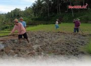 Nusron Wahid Turun Tangan, Sertipikat Tanah Transmigran di Kabupaten Kotabaru Dipulihkan