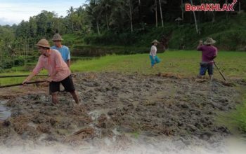 Nusron Wahid Turun Tangan, Sertipikat Tanah Transmigran di Kabupaten Kotabaru Dipulihkan