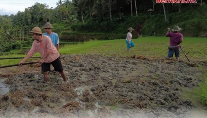 Nusron Wahid Turun Tangan, Sertipikat Tanah Transmigran di Kabupaten Kotabaru Dipulihkan