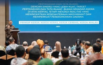 Wamen ATR/BPN Dorong Satu Data Lahan Sawah Nasional Demi Perkuat Ketahanan Pangan