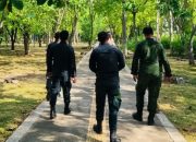 Respons Aduan “Mobil Galau”, Satpol PP-WH Banda Aceh Perketat Pengawasan Hutan Kota Tibang