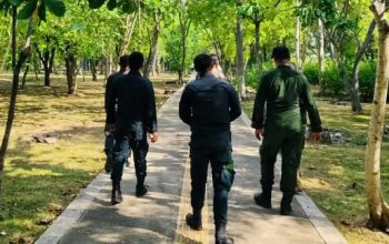 Respons Aduan “Mobil Galau”, Satpol PP-WH Banda Aceh Perketat Pengawasan Hutan Kota Tibang